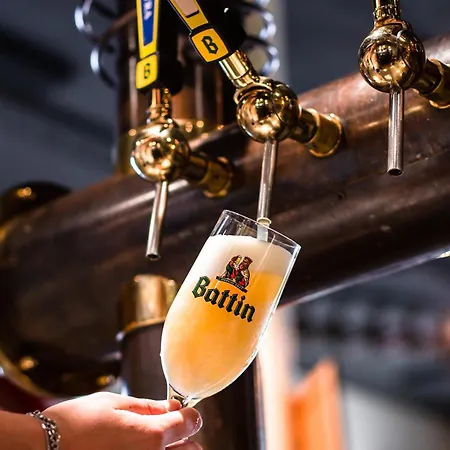 De Brauhotel - De La Brasserie Nationale 3* בשארג'